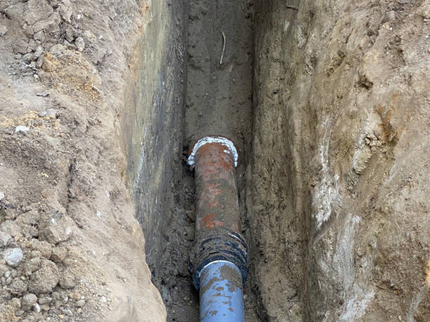 Best Basement water damage restoration  in Waynesboro, VA