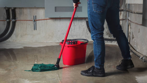 Best Emergency water damage restoration  in Waynesboro, VA