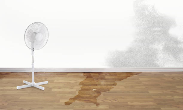 Fire Damage Restoration in Waynesboro, VA